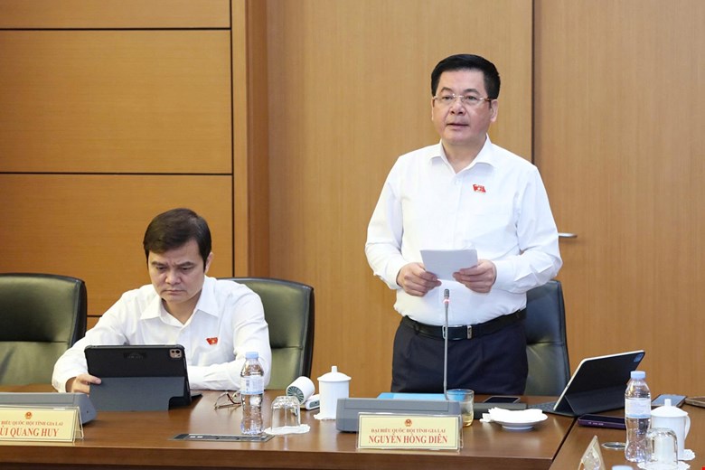 Phó Chủ tịch Quốc hội Nguyễn Hồng Diên: Bảo vệ quyền, lợi ích hợp pháp của chủ thể tham gia đấu giá