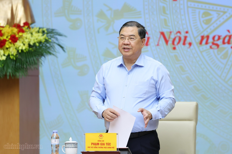 Phó Thủ tướng Thường trực Phạm Gia Túc làm Chủ tịch Hội đồng thẩm định Quy hoạch khoáng sản nhóm I