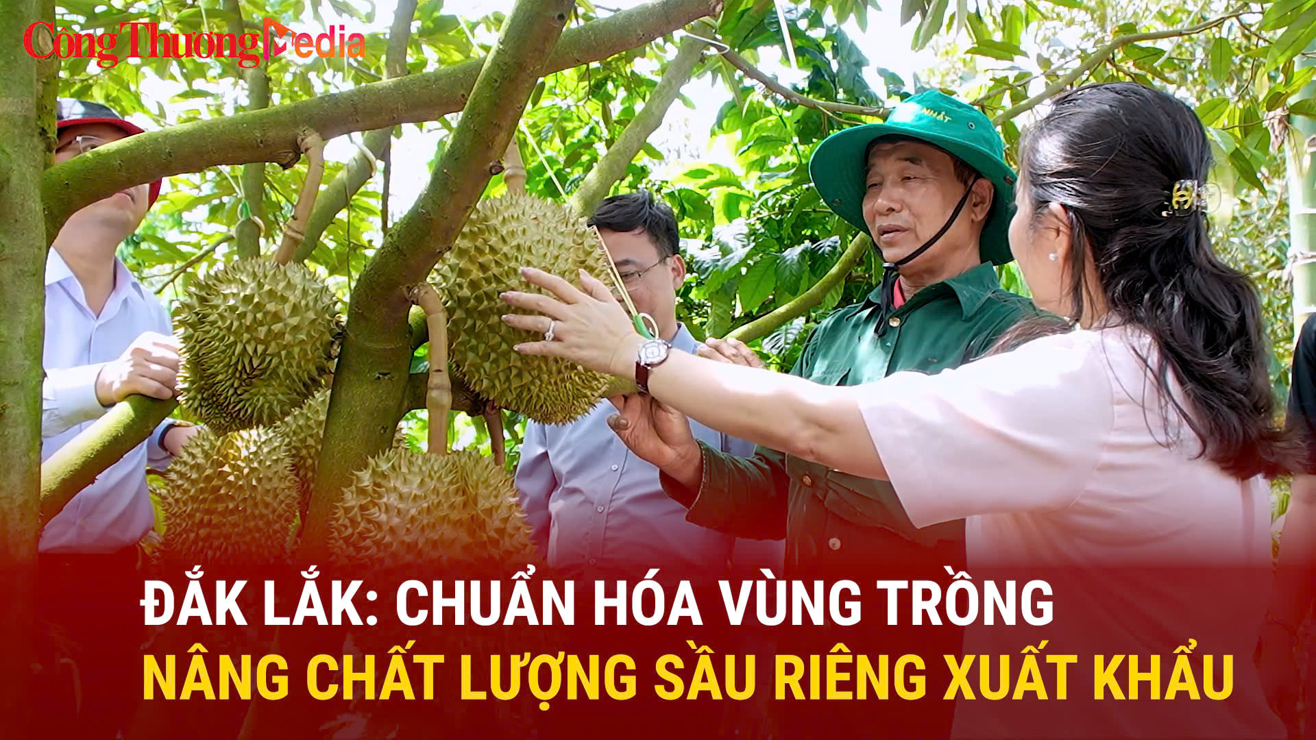 Đắk Lắk chuẩn hóa vùng trồng, nâng chất lượng sầu riêng xuất khẩu