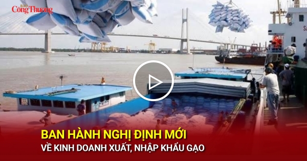 Ban hành Nghị định mới về kinh doanh xuất, nhập khẩu gạo