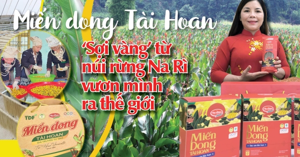 Longform | Miến dong Tài Hoan: ‘Sợi vàng’ từ núi rừng Na Rì vươn ra thế ...