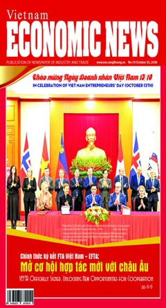 Vietnam Economic News 