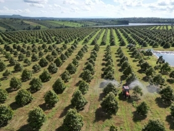 Khuyến nông cộng đồng “kết nối” nông dân với doanh nghiệp