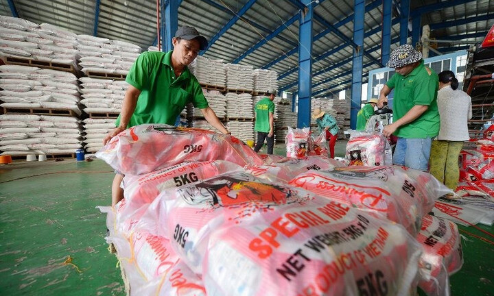 Tin Công Thương 23/6: Ứng phó biến động thị trường lúa gạo