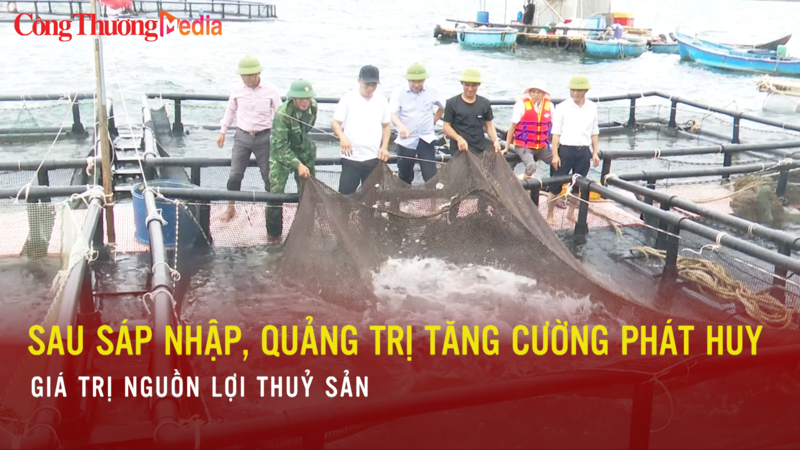 Sau sáp nhập, Quảng Trị tăng cường phát huy giá trị nguồn lợi thủy sản