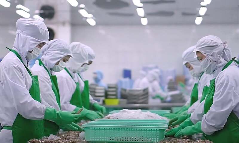 UKVFTA là cơ hội, thủy sản Việt cần chủ động nguồn nguyên liệu