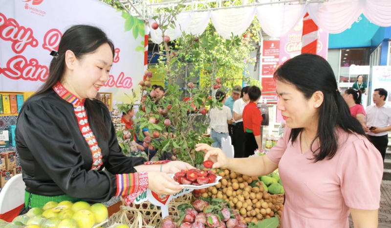 Bộ Công Thương đồng hành cùng nông dân miền núi tiêu thụ nông sản