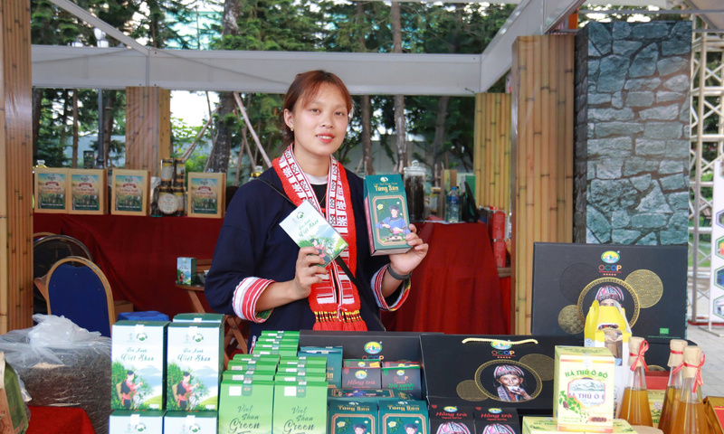 Trà Việt Shan: Tạo sinh kế bền vững cho đồng bào Mông, Dao đỏ