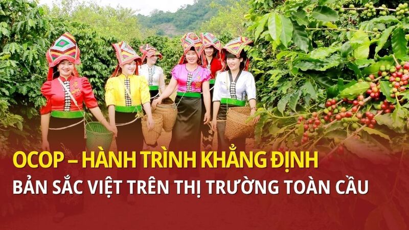 OCOP – hành trình khẳng định bản sắc Việt trên thị trường toàn cầu