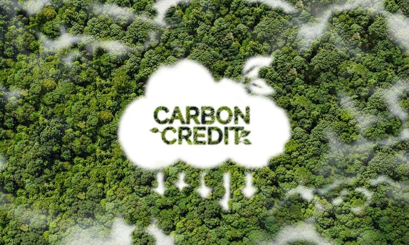 Chính sách khuyến khích tín chỉ carbon: Cơ hội cho trang trại đẩy mạnh giảm phát thải khí mê-tan