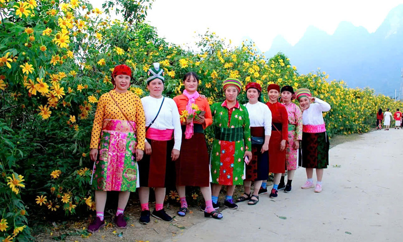 Tuyên Quang và Lào Cai tổ chức Lễ hội hoa Dã Quỳ, trà Shan Tuyết 