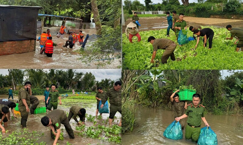Mưa lũ gây thiệt hại nặng tại Lâm Đồng, hơn 5.600ha cây trồng bị ảnh hưởng