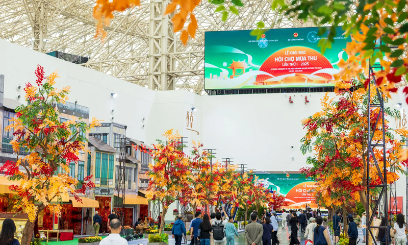 Từ mùa thu vàng Gyeongju tới biển bạc Phú Quốc - Kỳ cuối: Busan - Đông Anh, giấc mơ lớn