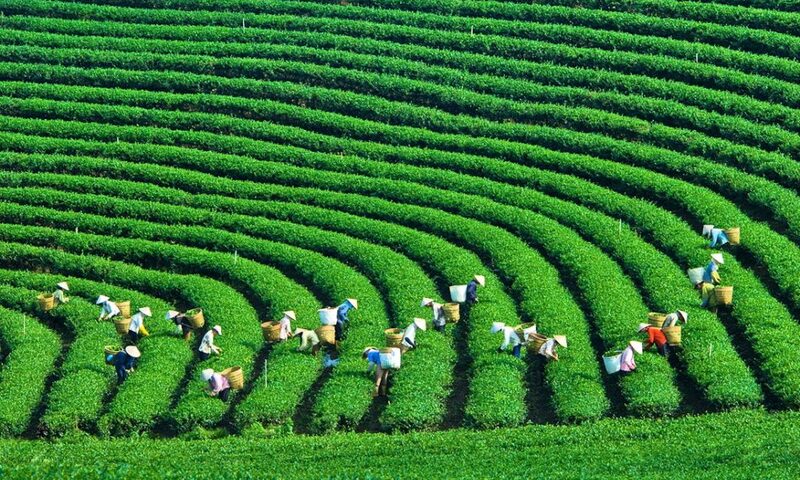 Góp ý Dự thảo Văn kiện Đại hội XIV: Đổi mới mô hình tăng trưởng, phát triển kinh tế xanh