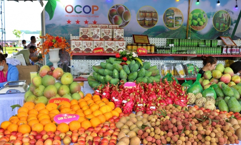 Dự án 'Đặc sản vùng cao': Lan tỏa giá trị nông sản, sẻ chia cộng đồng