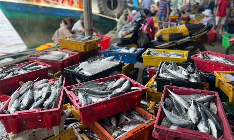 Kinh tế Cà Mau duy trì đà tăng trưởng tích cực