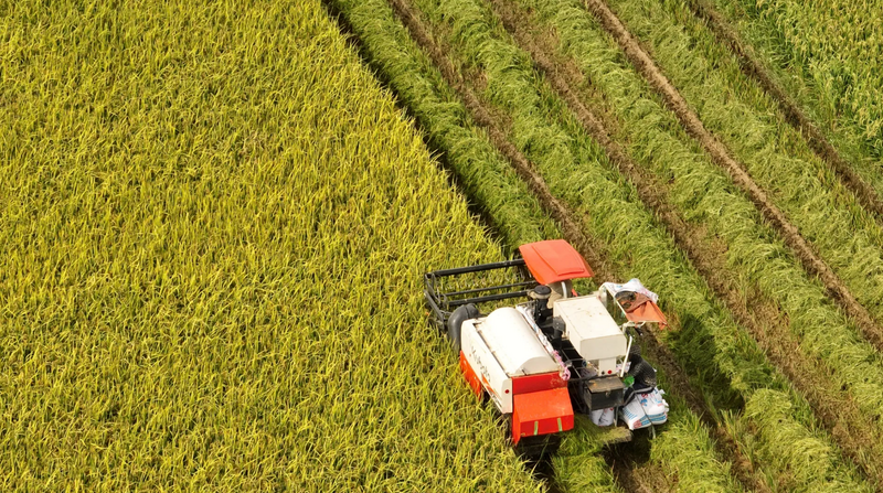 Dấu son 80 năm: Nông sản Việt vươn tầm thế giới trong kỷ nguyên xanh