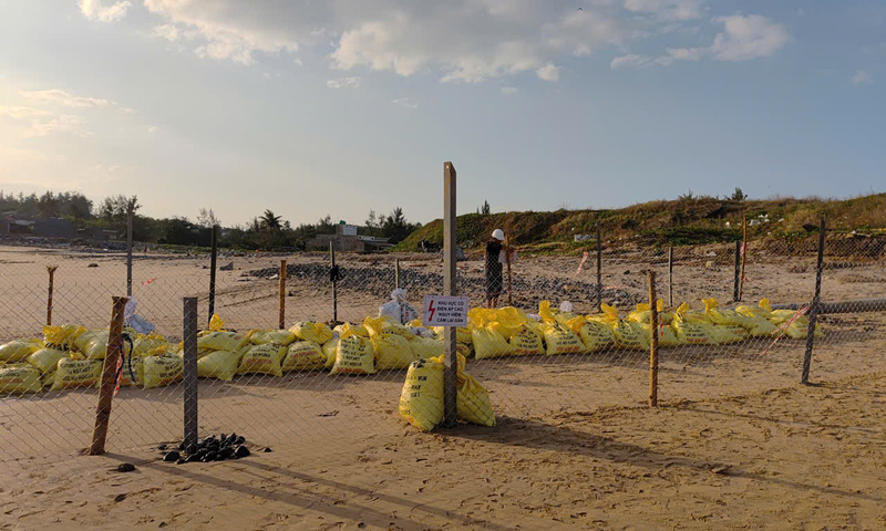 Quảng Ngãi: Đảm bảo an toàn tuyến cáp xuyên biển cấp điện cho Lý Sơn