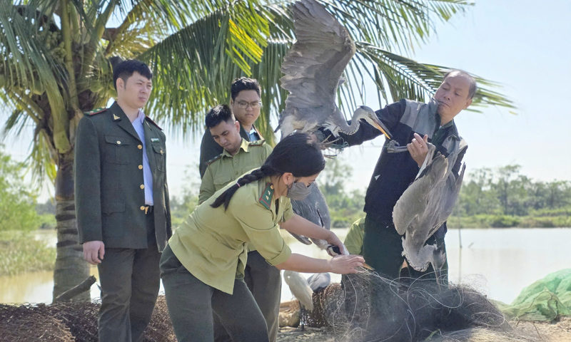 Triệt phá nhiều điểm nuôi nhốt, bẫy bắt động vật hoang dã