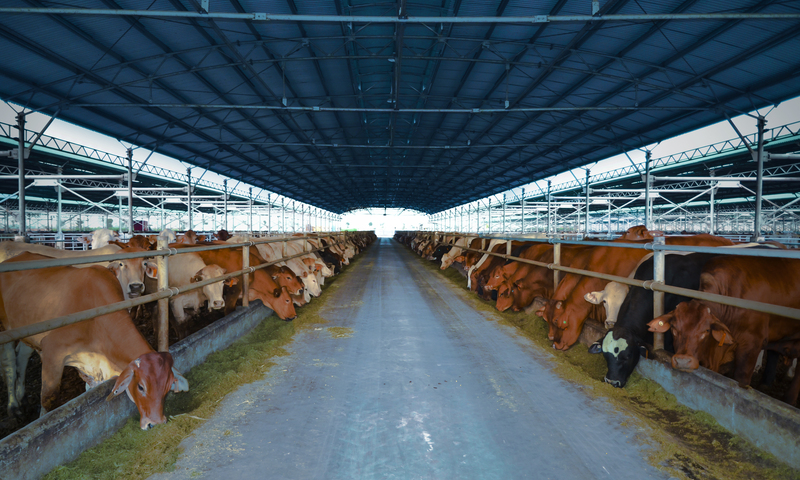 Phát triển vốn thứ cấp, doanh nghiệp nông nghiệp IPO 30 triệu cổ phiếu