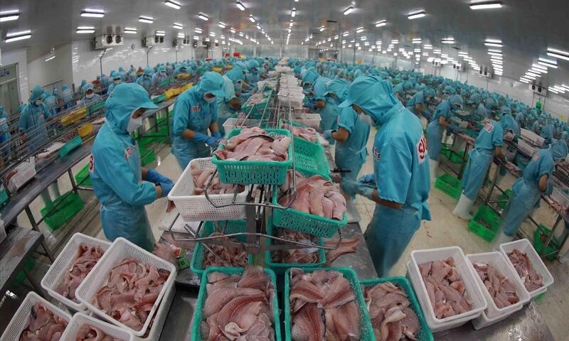 Sắp diễn ra Hội thảo ngành Thủy sản Việt Nam thích ứng với phòng vệ thương mại 