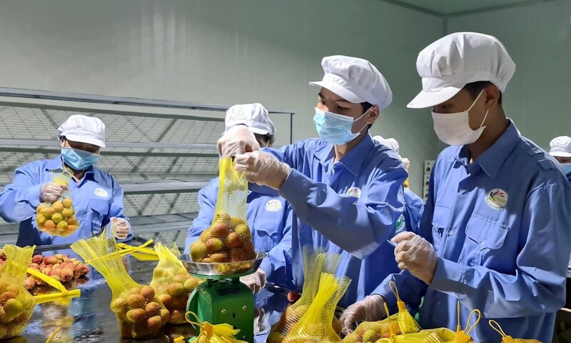 UKVFTA thúc đẩy minh bạch thủ tục, giảm chi phí, tạo đà tăng trưởng thương mại