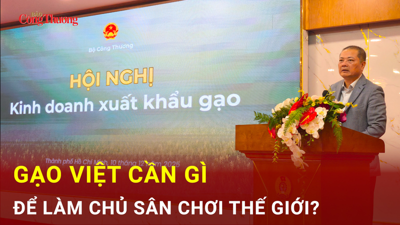 Gạo Việt cần gì để làm chủ sân chơi thế giới?