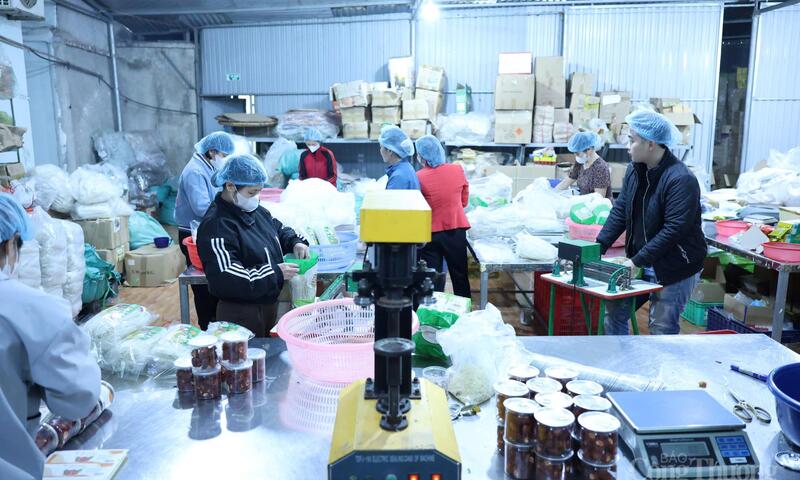 OCOP mở rộng cơ hội việc làm nhưng tồn tại thách thức lớn về nhân lực 