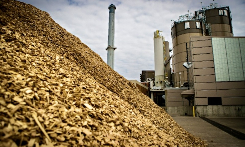 Chấp thuận chủ trương đầu tư Dự án Nhà máy điện sinh khối An Giang 1