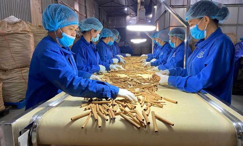 Lào Cai: Hỗ trợ doanh nghiệp nắm rõ quy tắc xuất xứ, tận dụng FTA