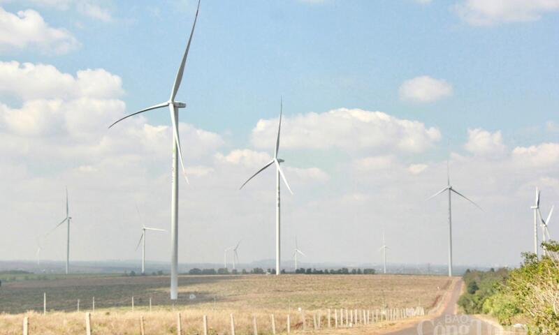 Ngắm cánh đồng điện gió đẹp mê mẩn mùa lá rụng ở Gia Lai