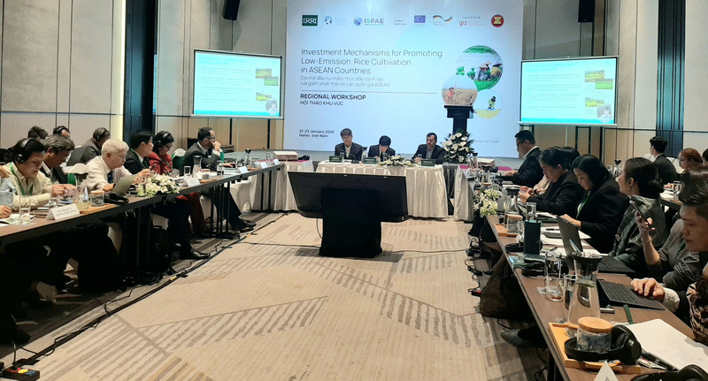 ASEAN tìm cơ chế đầu tư, thúc đẩy canh tác lúa giảm phát thải