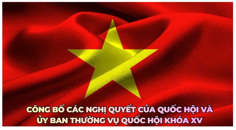 Infographic | Công bố các Nghị quyết của Quốc hội và Ủy ban Thường vụ Quốc hội