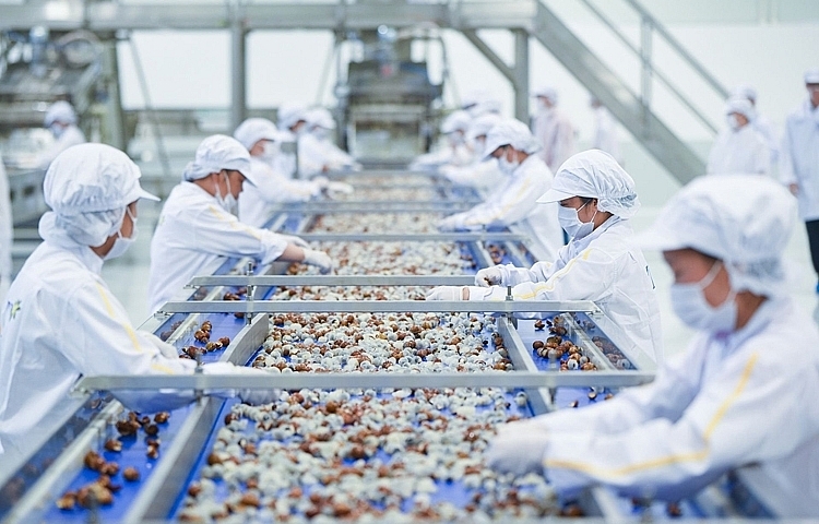 Hiện thực hóa Nghị quyết Đại hội XIV về phòng vệ thương mại