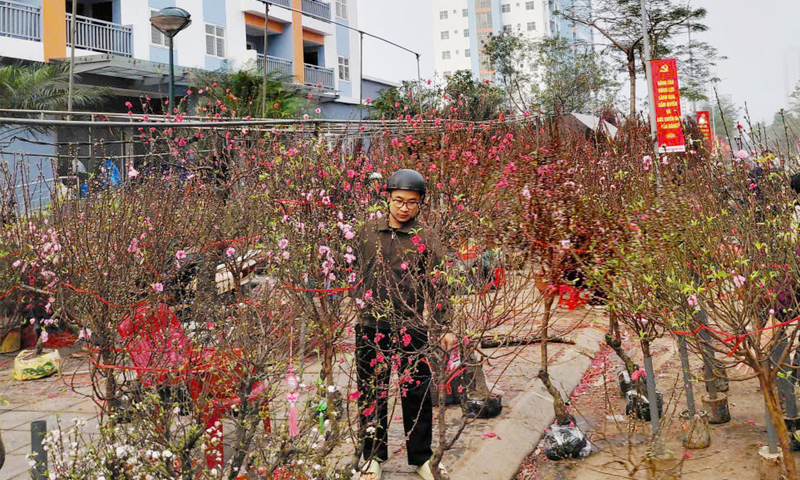 Tiêu dùng Tết 2026: Xu hướng ‘mua thông minh’ lên ngôi 