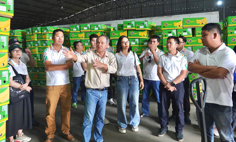 Những doanh nhân Gia Lai mở đường đưa nông sản xuất ngoại