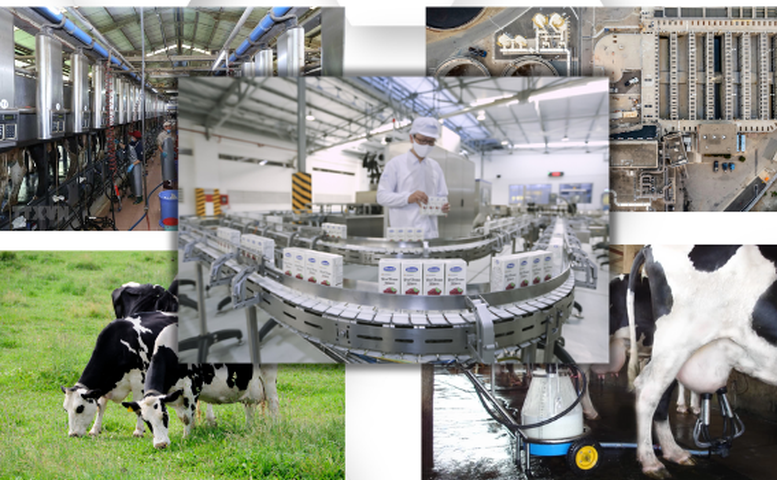 Phấn đấu đến năm 2030, tăng trưởng ngành sữa bình quân đạt 12 - 14%/năm