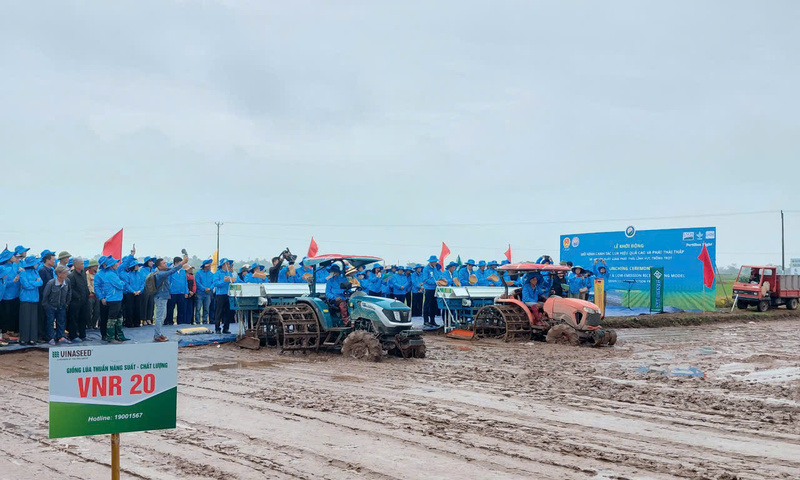 Đồng bằng sông Hồng chuyển mình với mô hình lúa phát thải thấp