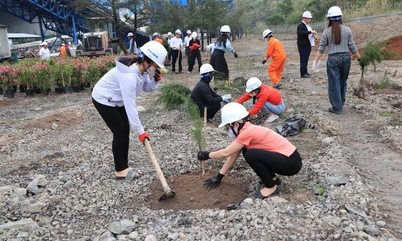 Gần 1.500 cây xanh được trồng tại Nhiệt điện Mông Dương