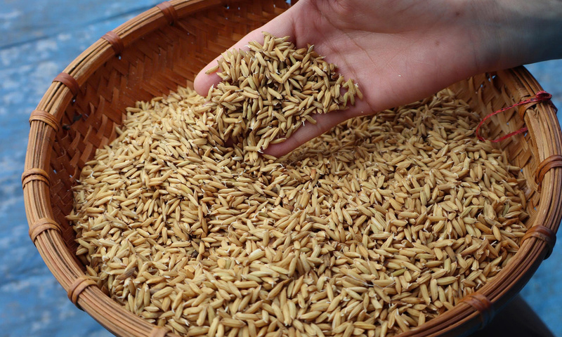 Giảm phát thải mở đường cho nông sản Hải Phòng khẳng định thương hiệu