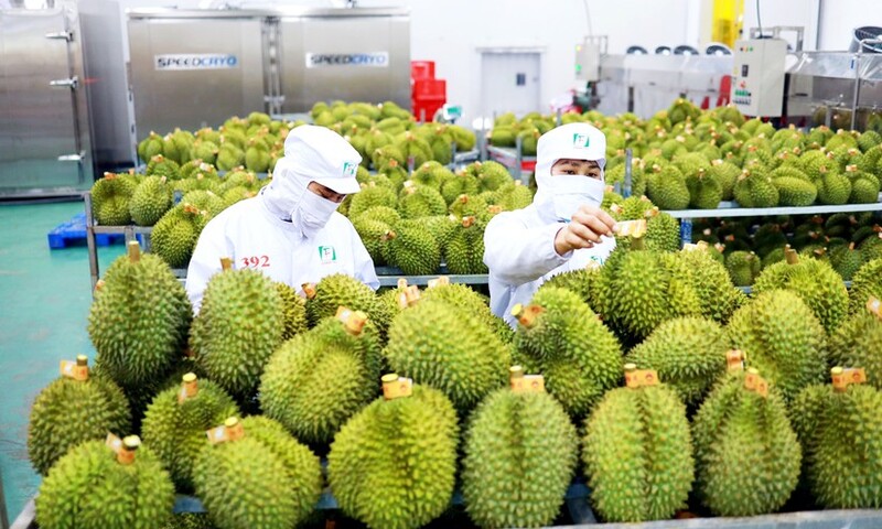 Chuyên gia nói gì về tái cấu trúc chuỗi cung ứng từ xung đột Trung Đông?