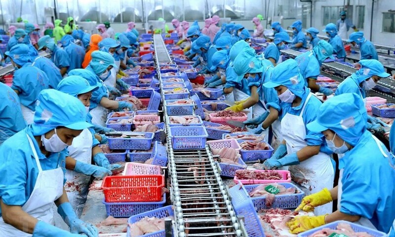 Xung đột Trung Đông: Cơ hội để hàng Việt 'gõ cửa' thị trường Brazil