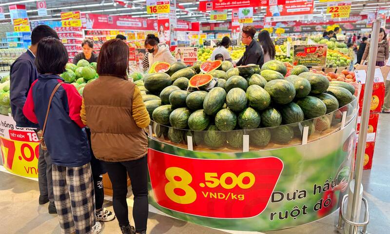 Loạt doanh nghiệp bán lẻ vào cuộc 'giải cứu' dưa hấu Gia Lai