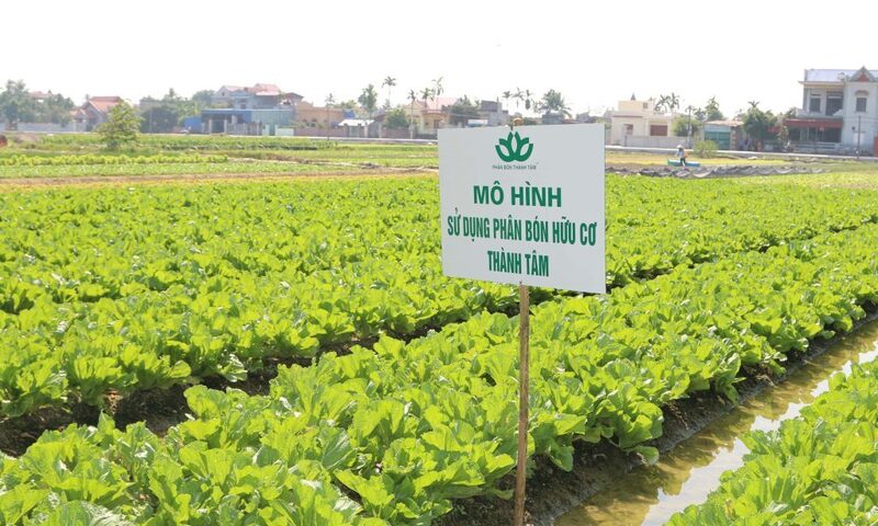 Agribank rao bán khoản nợ 256 tỷ đồng của Công ty Phân bón Thành Tâm