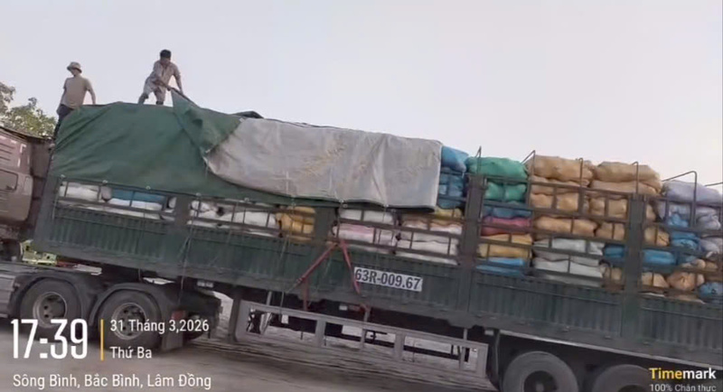 Chở hàng vượt chiều cao, cả chủ xe và tài xế bị phạt nặng