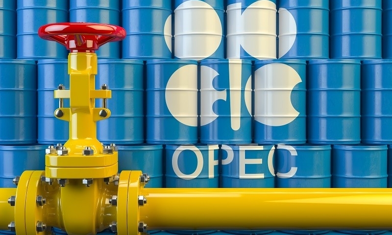 OPEC+ xem xét kế hoạch điều chỉnh sản lượng dầu thô