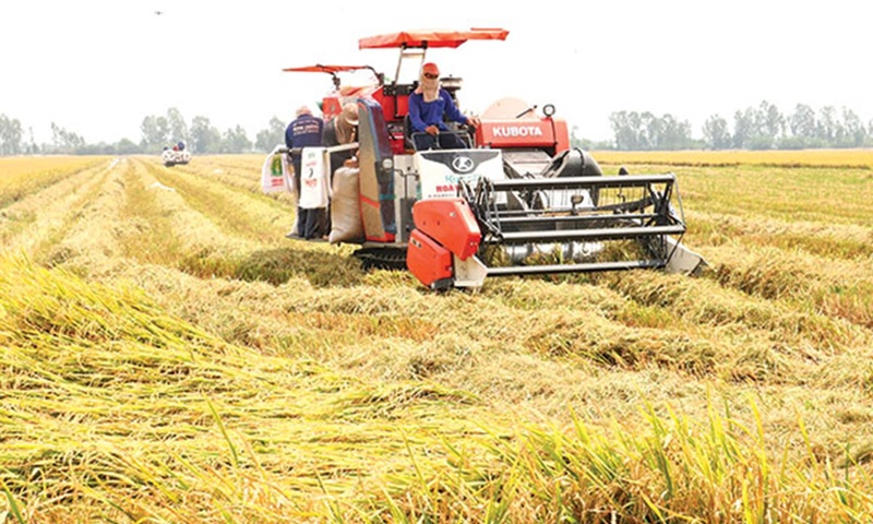 Nghị quyết 85/NQ-CP: Mở 'đòn bẩy' chính sách, đưa nông nghiệp vào Top 15 thế giới