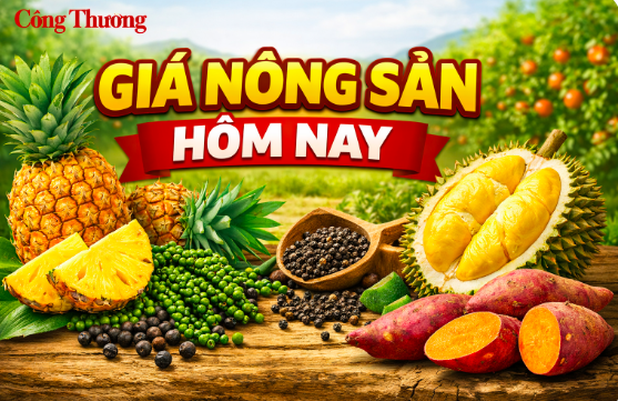 Giá nông sản hôm nay 7/4/2026: Sầu riêng Thái tăng trở lại; dứa trái vụ vào mùa