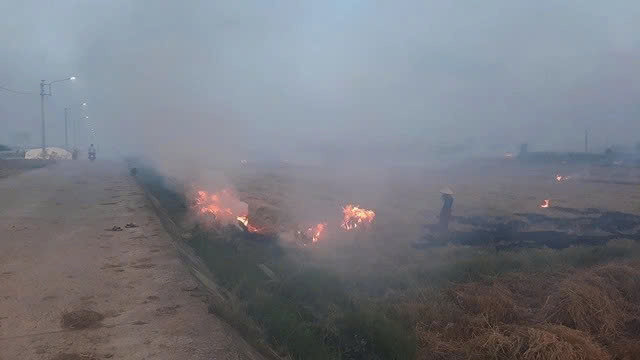 Hà Nội xử lý nghiêm tình trạng đốt rơm rạ, rác thải tự phát