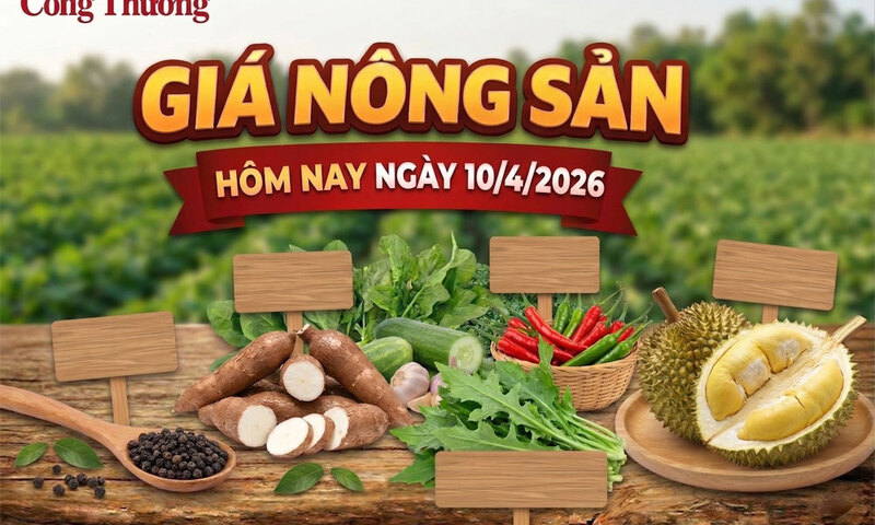 Giá nông sản hôm nay 10/4: Giá sắn tươi tăng mạnh; giá ớt giảm kỷ lục